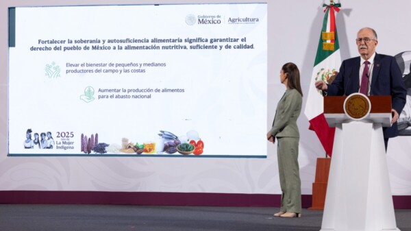 Va Sheinbaum por la soberanía alimentaria