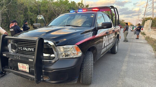 Hallan osamenta en área verde de la Sm. 260 de Cancún