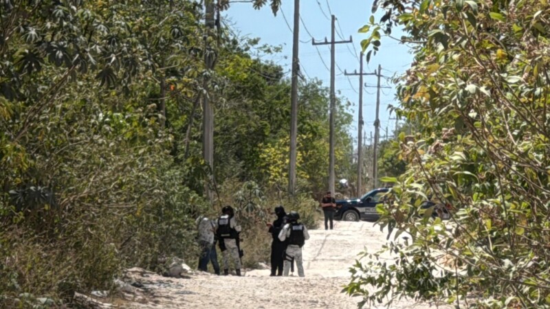 Localizan restos humanos en área verde de Cancún