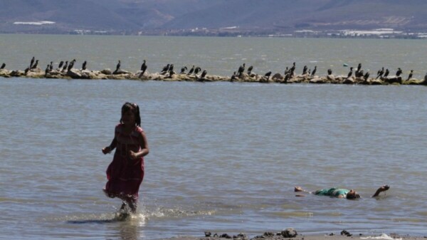 Detectan en Jalisco nuevo herbicida en orina de niños