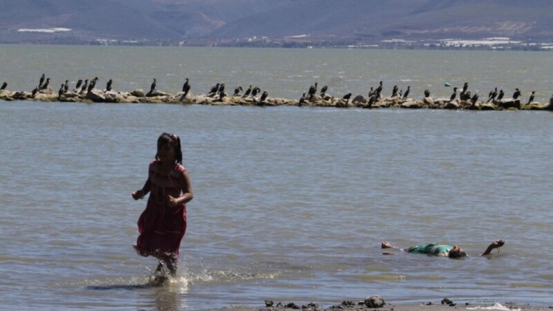 Detectan en Jalisco nuevo herbicida en orina de niños