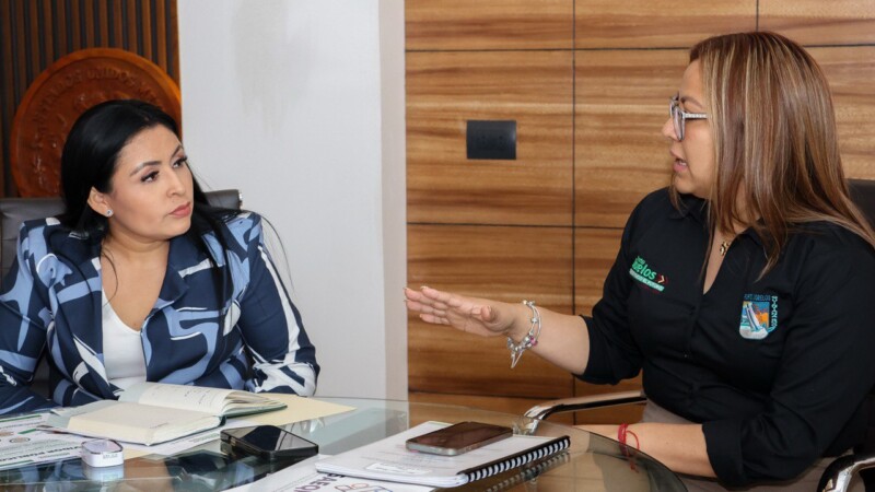 Ayuntamiento de Puerto Morelos fortalece supervisión y transparencia en sus procesos: Blanca Merari