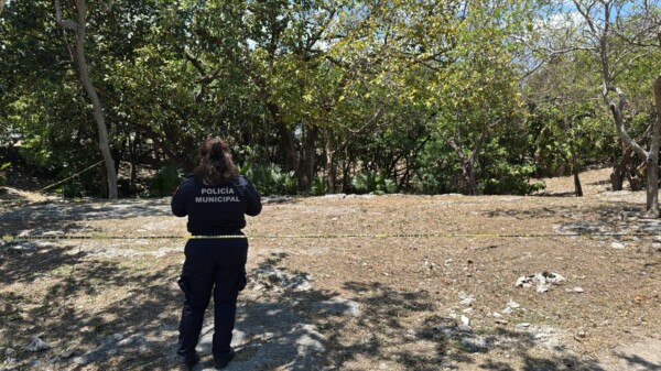 Hallan cuerpo sin vida en el parque del cenote de La Guadalupana (VIDEO)