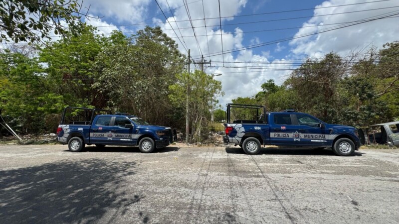 Hallan una osamenta en una calle en la Supermanzana 226 de Cancún