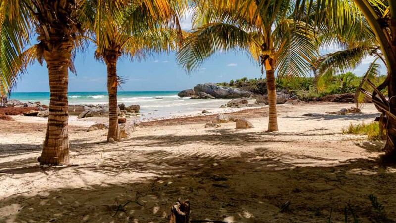 Diego Castañón Trejo anuncia próxima apertura de nuevo acceso público a playas de Tulum