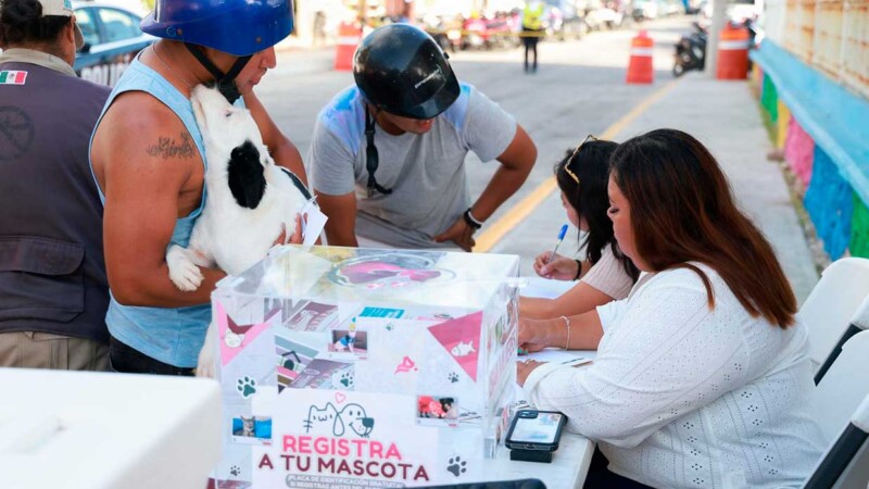 Gobierno de Isla Mujeres invita a las familias a sumarse al Padrón Municipal de Mascotas