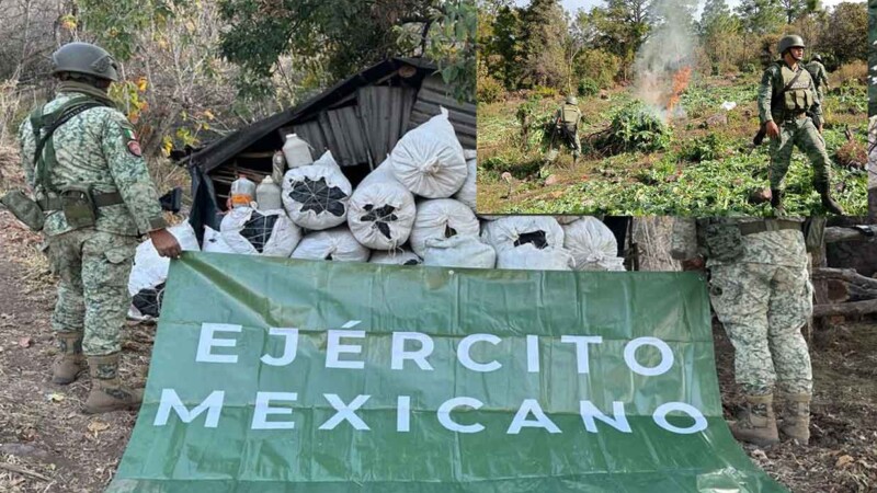 Ejército Mexicano destruye más de 80 plantíos de drogas en cuatro estados