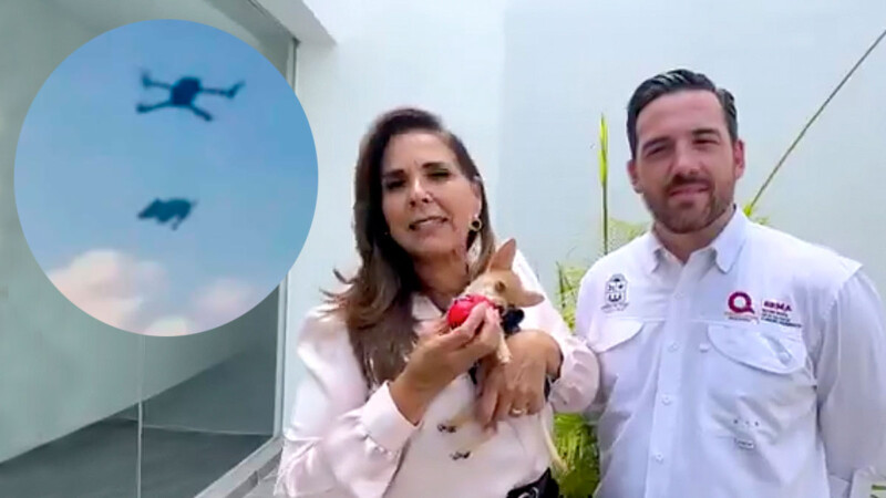 Perrito torturado con un dron en Quintana Roo ya fue rescatado por las autoridades