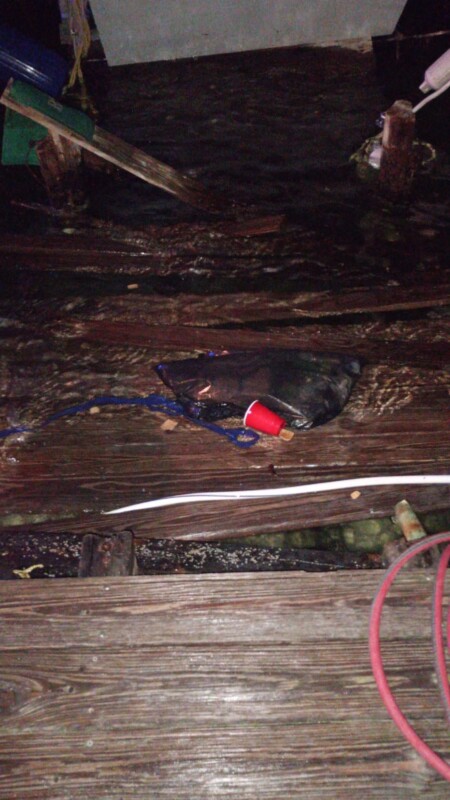 Colapsa parte de un muelle de empresa de servicios acuáticos (VIDEO); integrantes de una familia que descendían de embarcación cayeron al agua.