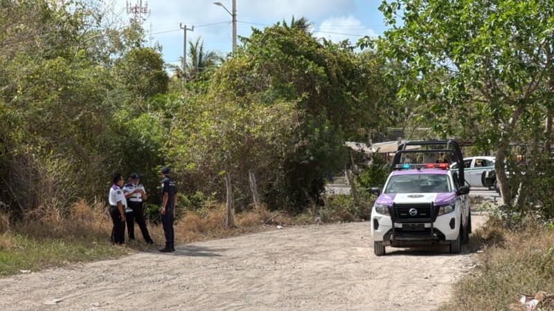 Hallan un cuerpo enrollado en una hamaca en la colonia La Morena en Cancún