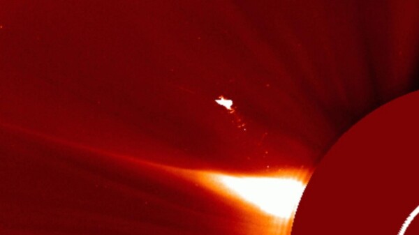 Ven cerca del Sol un “pájaro” de fuego más grande que la Tierra