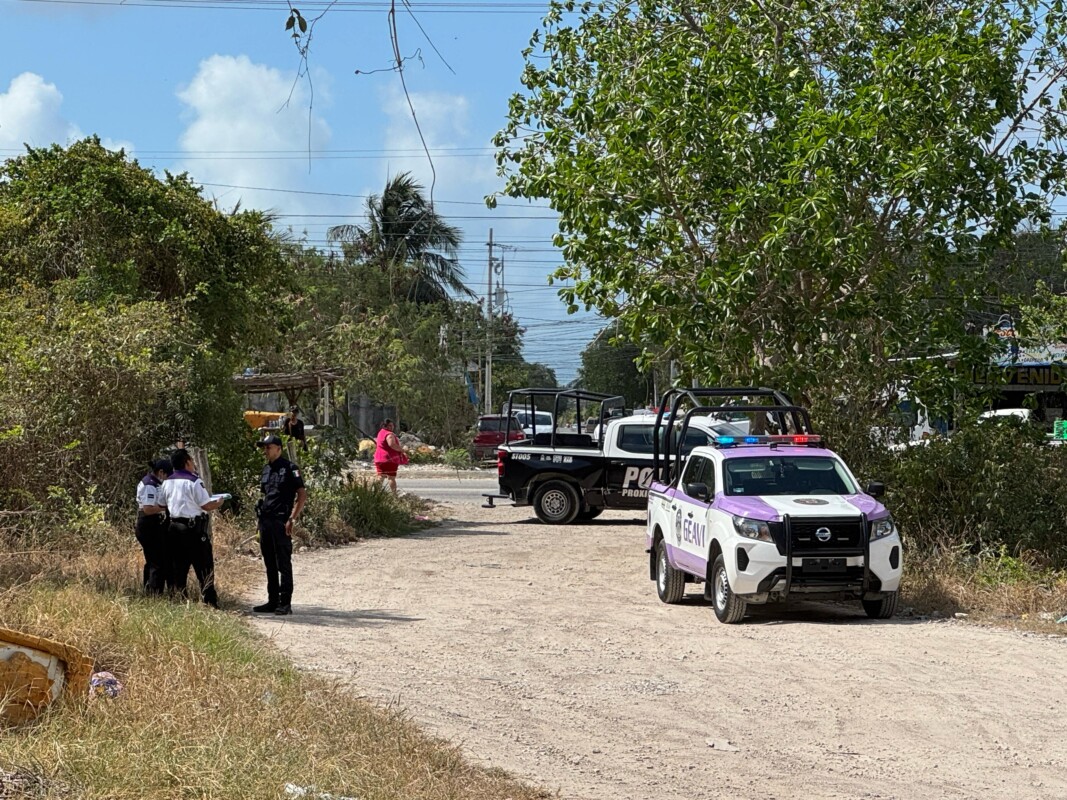 Hallan un cuerpo enrollado en una hamaca en la colonia La Morena en Cancún; habitantes de la zona dieron aviso al personal del Geavig que pasaban por el lugar.
