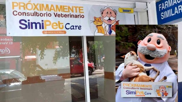 ¿Veterinarias del Dr. Simi? Farmacias Similares incursionaría por fin en el cuidado de mascotas
