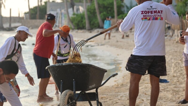 Gobierno de Isla Mujeres atiende oportunamente el arribo de sargazo