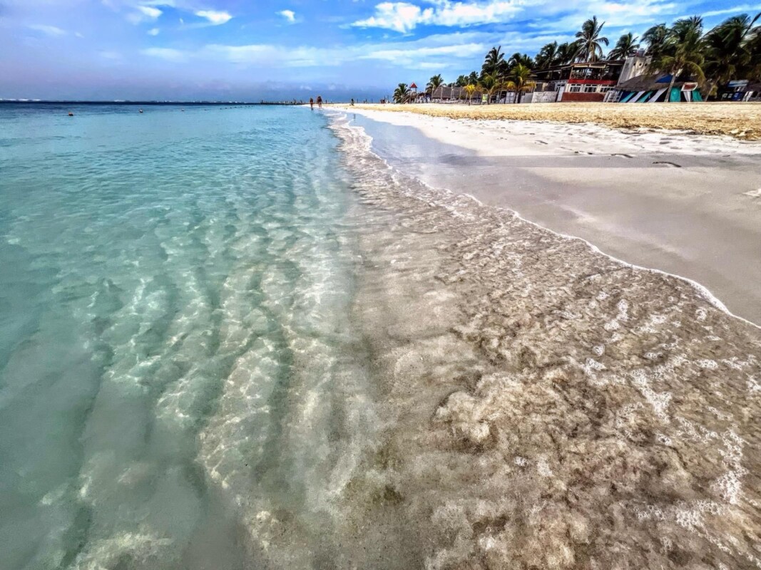 Gobierno de Isla Mujeres atiende oportunamente el arribo de sargazo