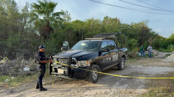 Hallan cadáver en área verde de la colonia El Bethel, en Cancún