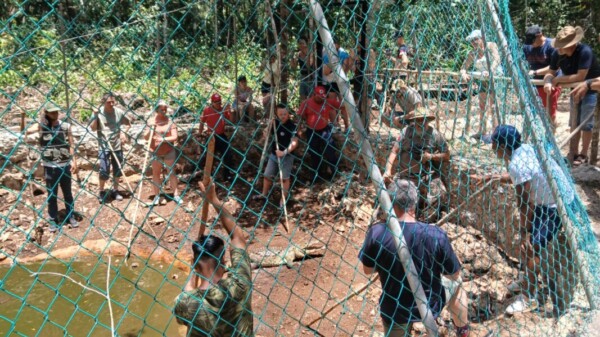 Bomberos franceses se capacitan en Puerto Morelos en captura y manejo de cocodrilos y serpientes