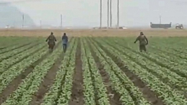 Irrumpe ICE en campos de EU, a la caza de 255 mil migrantes