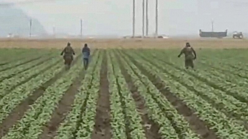 Irrumpe ICE en campos de EU, a la caza de 255 mil migrantes