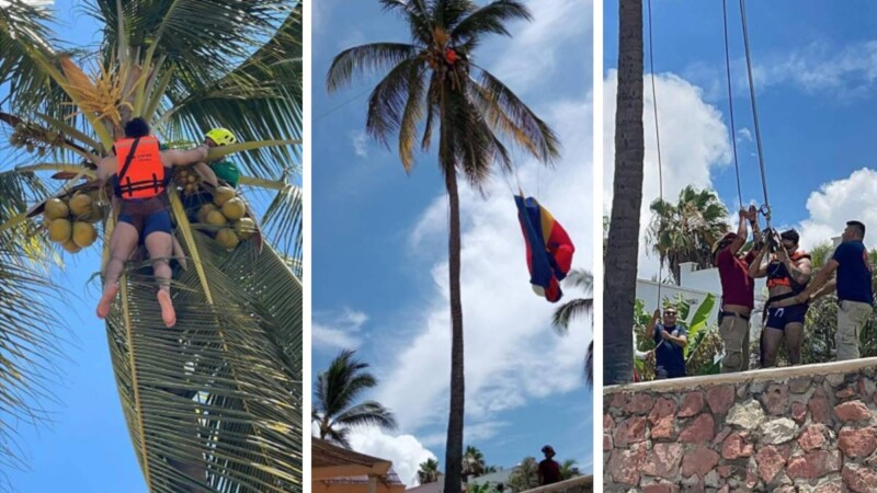 Rescatan a turista que se atoró en una palmera a ocho metros del suelo