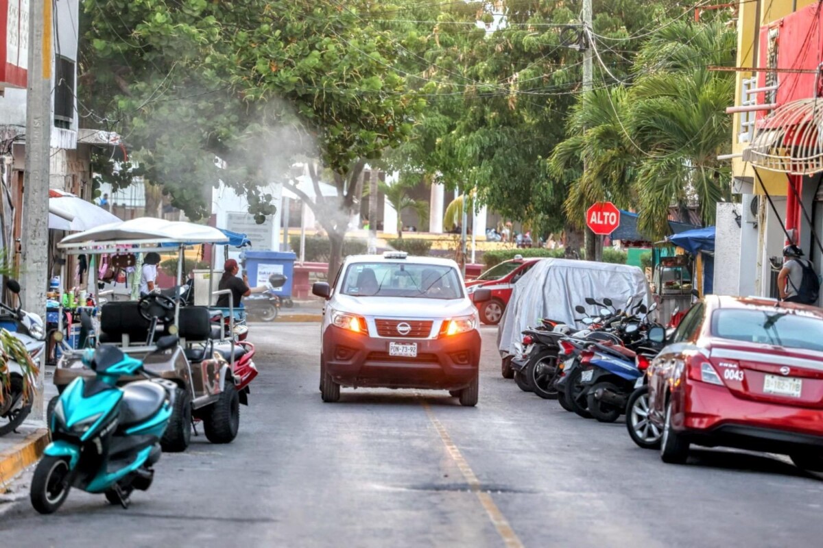 El objetivo de las autoridades municipales es prevenir la proliferación del mosquito transmisor del dengue, zika y chikungunya.