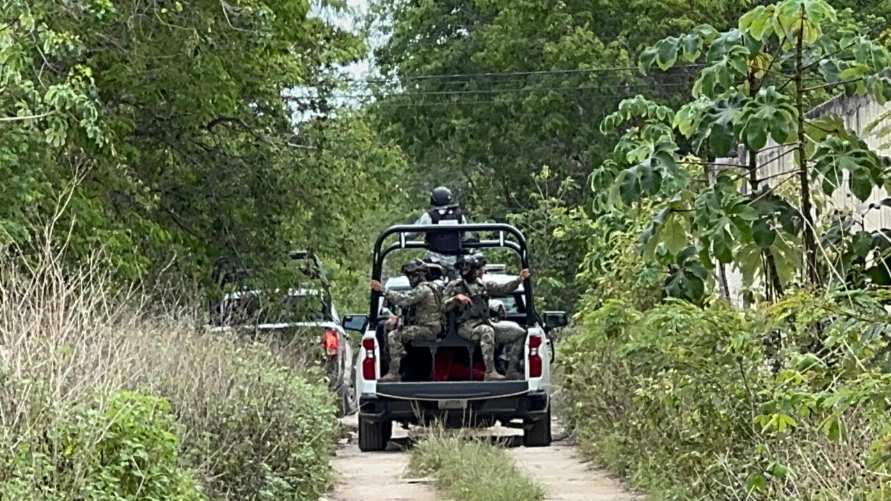 Cancún: Hallan restos óseos en un pequeño cenote en la delegación Alfredo V. Bonfil (VIDEO); la diligencia se llevó a cabo en la calle Niños Héroes, en la Sm. 308.