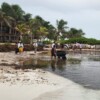Gobierno Municipal retira cerca de 200 toneladas de sargazo el fin de semana en Isla Mujeres