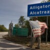 Hay 14 mexicanos detenidos en ‘Alcatraz de los caimanes’: CSP