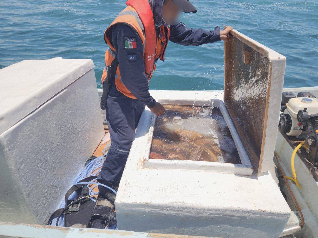 Capturan a tres pescadores furtivos en la costa yucateca; las autoridades lograron el decomiso de especies que están en veda.