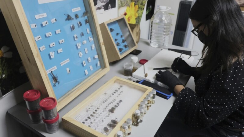 México experimenta nuevas formas de buscar a los desaparecidos