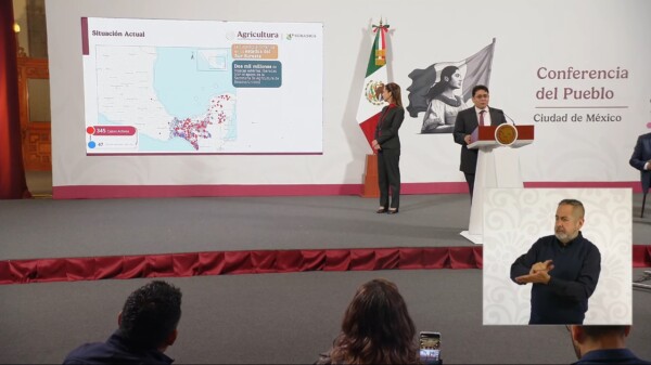 Totalmente exagerada”, la decisión del Departamento de Agricultura de EU de cerrar de nuevo frontera al ganado: Claudia Sheinbaum.