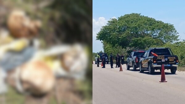 Hallan tres cráneos humanos en la carretera Telchac Puerto-Progreso