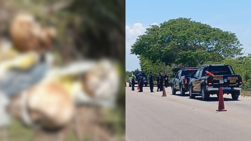 Hallan tres cráneos humanos en la carretera Telchac Puerto-Progreso