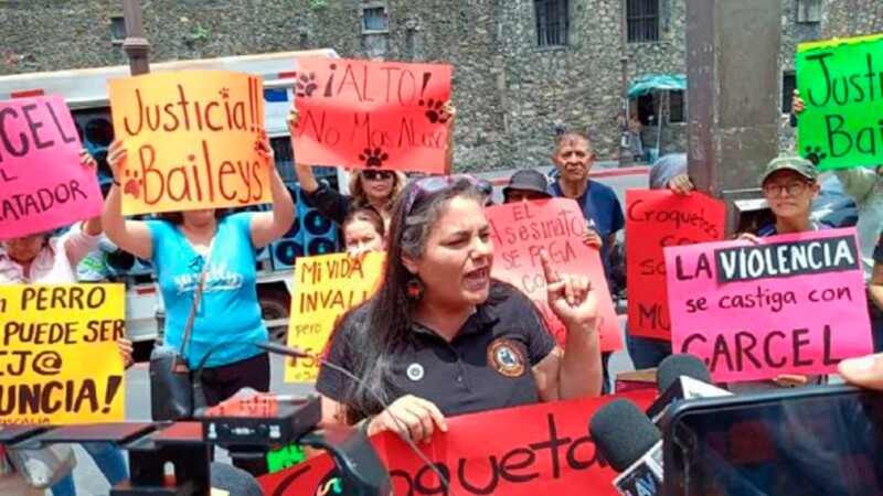 Liberación de asesino de perrito genera manifestación en Morelos