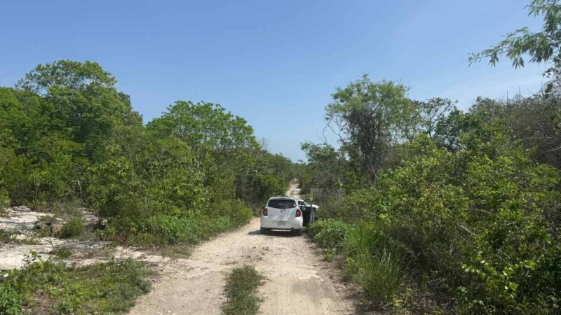 Hallan cuerpo sin vida en la colonia El Mariachi en la Zona Continental de Isla Mujeres (VIDEO)