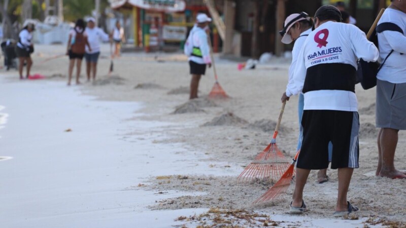 Gobierno Municipal redobla trabajos para mantener las playas de Isla Mujeres libres de sargazo