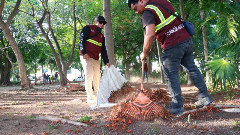 Gobierno de Benito Juárez mantiene brigadas de limpieza para garantizar espacios dignos