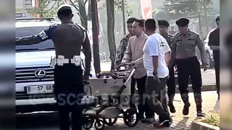 Gato presidencial causa revuelo al pasear escoltado por policías