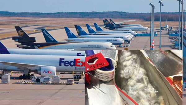 Encuentran en aeropuerto de Alemania mas de un millar de tarántulas