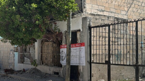 Realizan operativo de cateo en la SM 72 de Cancún