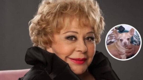 'Cosita', la fiel compañera de Silvia Pinal, llora al recordar el aroma de la actriz