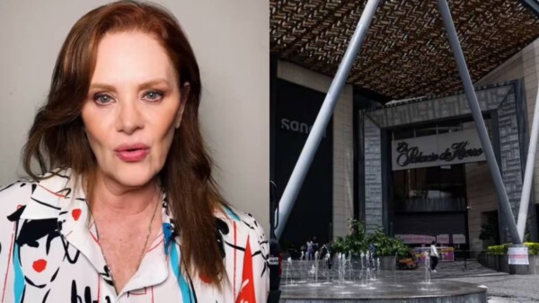 Erika Buenfil denuncia robo en centro comercial Mitikah
