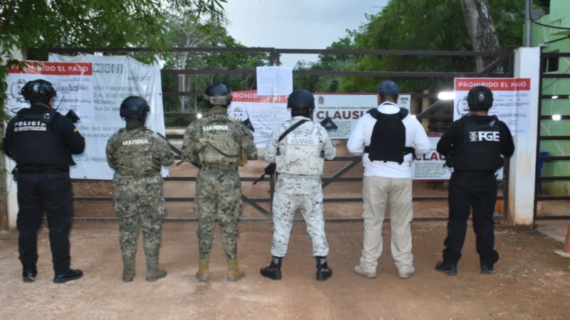 Catean predio por posibles delitos ambientales en Puerto Morelos