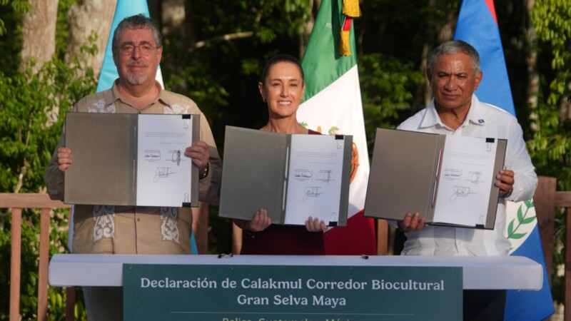 Acuerdan proteger y preservar la histórica y Gran Selva Maya