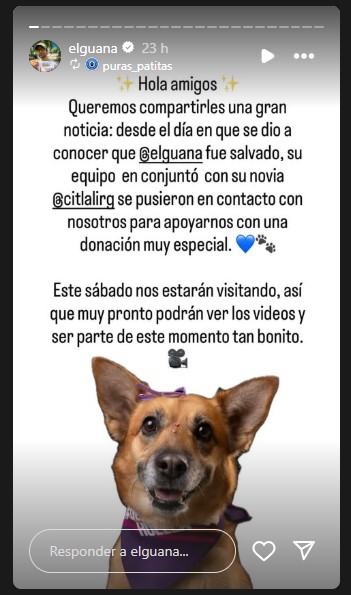 'Team Noche' cumplen promesa y donan alimento a refugio de animales