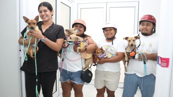 Centro de Bienestar Animal de Isla Mujeres ofrece servicios accesibles para el cuidado y atención de las mascotas de compañía