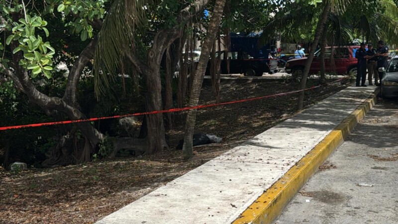 Hallan cuerpo embolsado en el cenote de la Región 100 de Cancún (VIDEO)