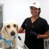 Todo un éxito el funcionamiento del Centro de Bienestar Animal en Isla Mujeres durante sus primeras tres semanas