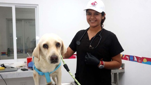 Todo un éxito el funcionamiento del Centro de Bienestar Animal en Isla Mujeres durante sus primeras tres semanas