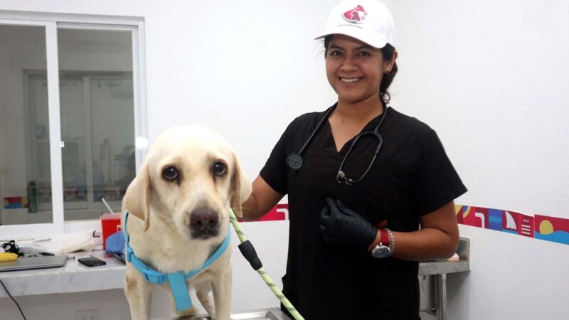 Todo un éxito el funcionamiento del Centro de Bienestar Animal en Isla Mujeres durante sus primeras tres semanas